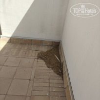 фото из отзыва ID 2723812