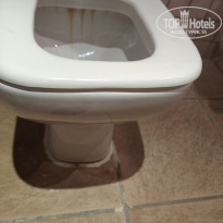 фото из отзыва ID 2723812