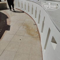 фото из отзыва ID 2723812