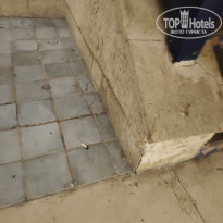 фото из отзыва ID 2723812