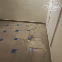 фото из отзыва ID 2723812