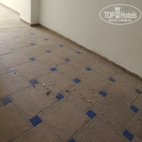 фото из отзыва ID 2723812