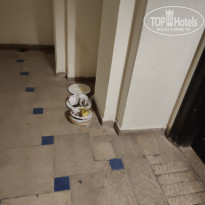 фото из отзыва ID 2723812