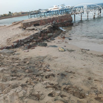 фото из отзыва ID 2723794