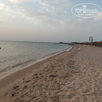 фото из отзыва ID 2723794