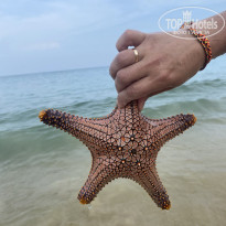 фото из отзыва ID 2723772