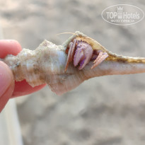 фото из отзыва ID 2723846