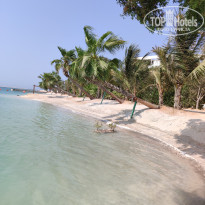 фото из отзыва ID 2723846