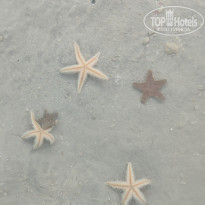 фото из отзыва ID 2723846