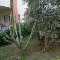 фото из отзыва ID 2723849