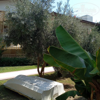 фото из отзыва ID 2723849