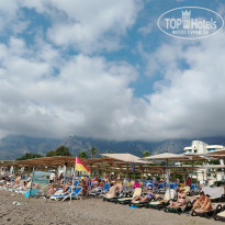 фото из отзыва ID 2723869