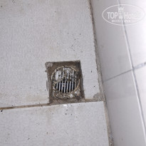 фото из отзыва ID 2723874