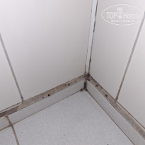 фото из отзыва ID 2723874