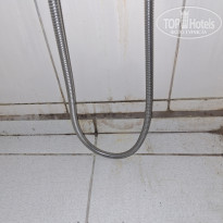 фото из отзыва ID 2723874