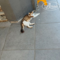 фото из отзыва ID 2723855