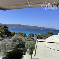 фото из отзыва ID 2723910