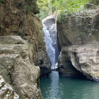 фото из отзыва ID 2723857