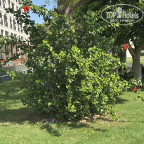 фото из отзыва ID 2723913