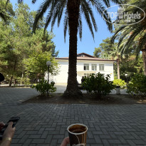 фото из отзыва ID 2723920