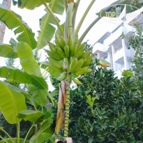 фото из отзыва ID 2723953