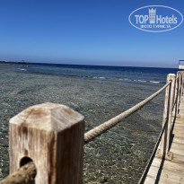 фото из отзыва ID 2723960