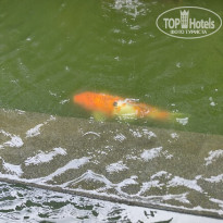 фото из отзыва ID 2723987