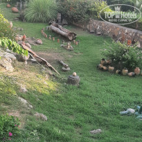 фото из отзыва ID 2723988