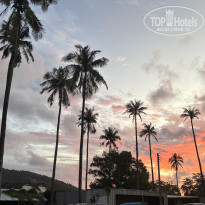 фото из отзыва ID 2724046