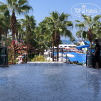 фото из отзыва ID 2724053