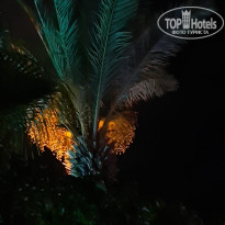 фото из отзыва ID 2724053