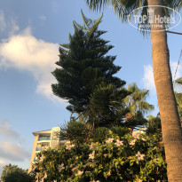 фото из отзыва ID 2724053