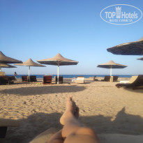 фото из отзыва ID 2724071