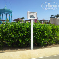 фото из отзыва ID 2724071