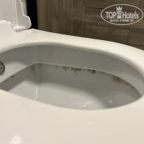 фото из отзыва ID 2724118