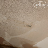 фото из отзыва ID 2724143