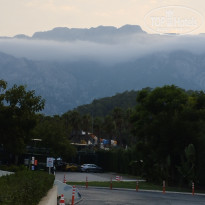 фото из отзыва ID 2724151