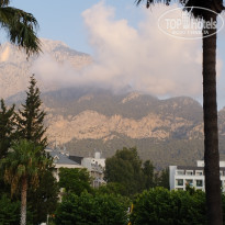 фото из отзыва ID 2724151