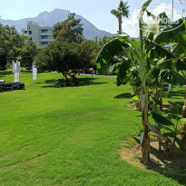 фото из отзыва ID 2724151