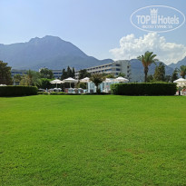 фото из отзыва ID 2724151