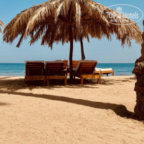 фото из отзыва ID 2724160