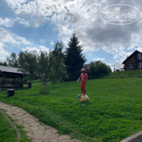 фото из отзыва ID 2724170