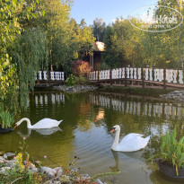 фото из отзыва ID 2724170