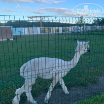 фото из отзыва ID 2724170