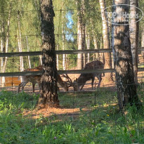 фото из отзыва ID 2724170