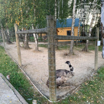 фото из отзыва ID 2724170