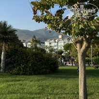 фото из отзыва ID 2724164