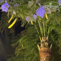 фото из отзыва ID 2724179