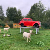 фото из отзыва ID 2724170