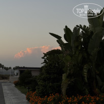 фото из отзыва ID 2724206